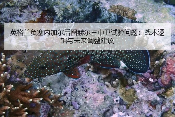 英格兰负塞内加尔后图赫尔三中卫试验问题：战术逻辑与未来调整建议