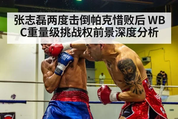 boxing knockout punch